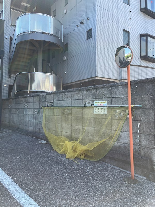 メゾン・ドラペA棟 その他17