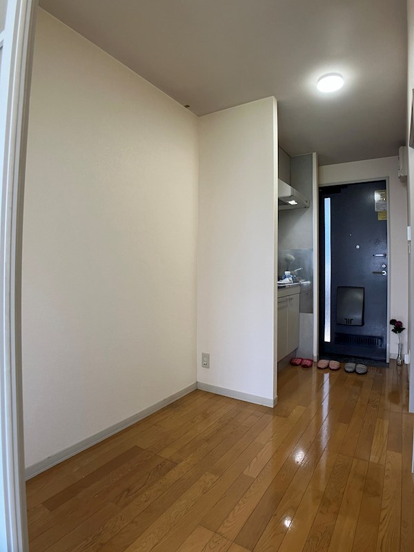 メゾン・ドラペA棟 その他7