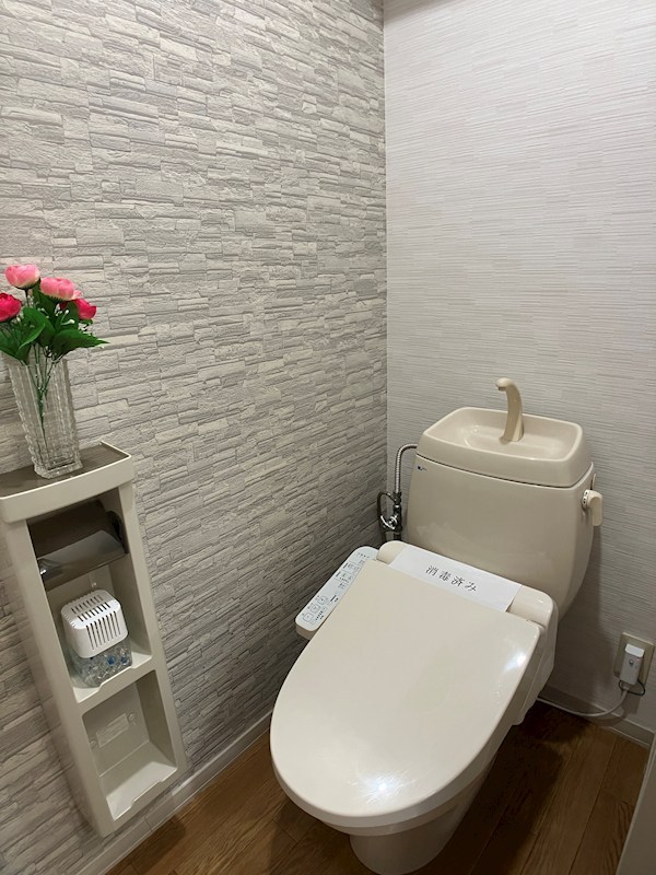 メゾン・ドラペA棟 その他1