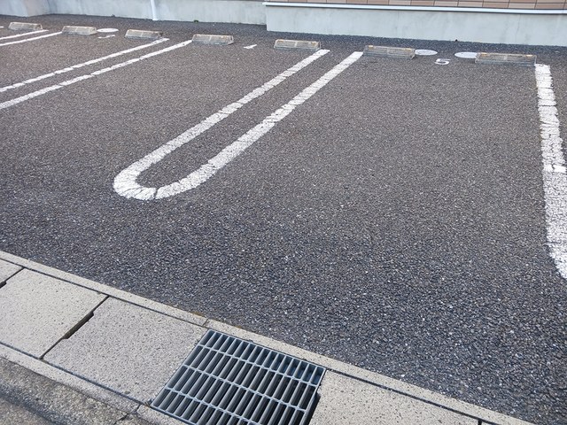 プリムローズ　Ａ その他6