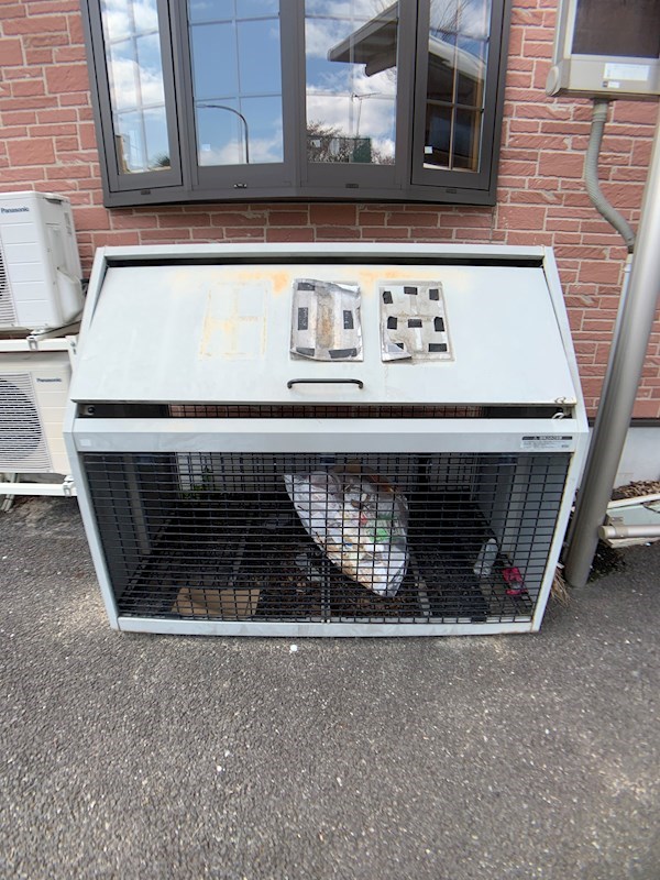 メゾン東光 その他17