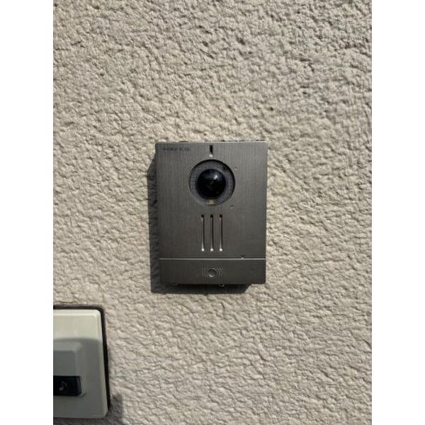 菜の花と春色フィルム その他3