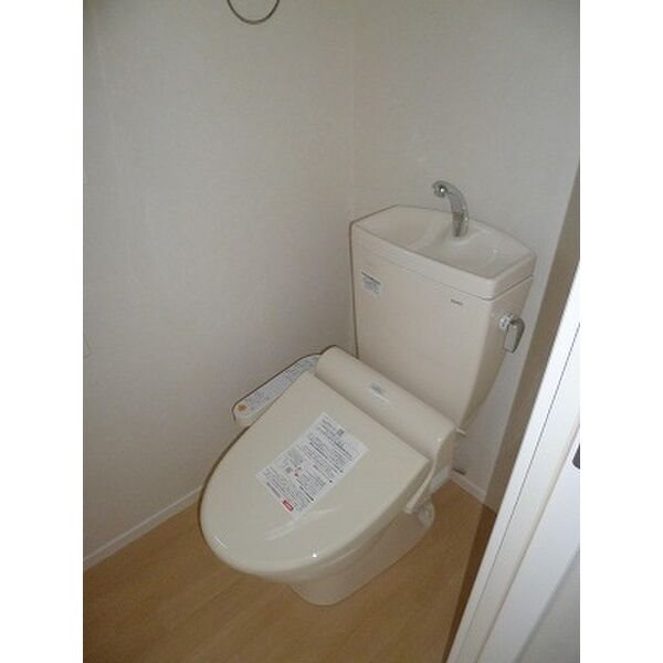 Ｙヨウトウ７パナメゾン その他1