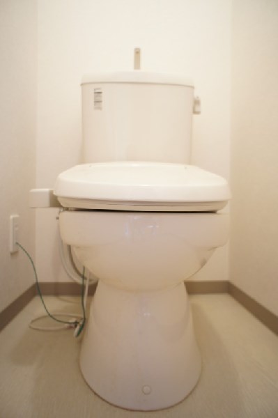 シャルマンテール  その他2