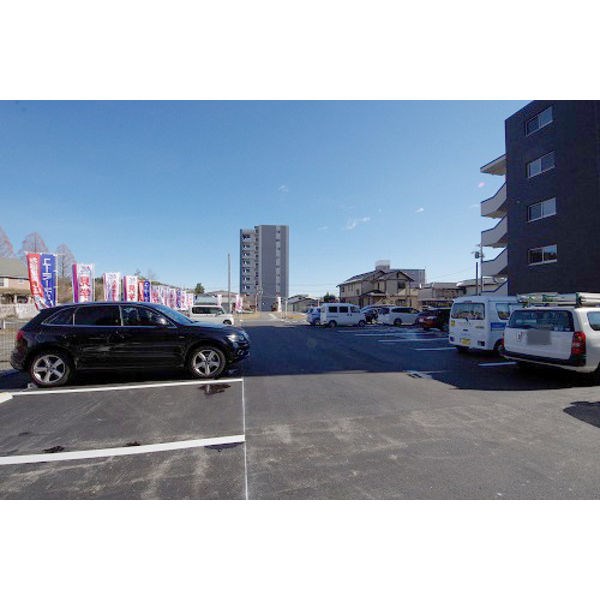 BLUE TREE 下戸祭 その他3