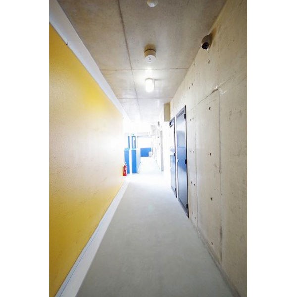 BLUE TREE 下戸祭 その他6