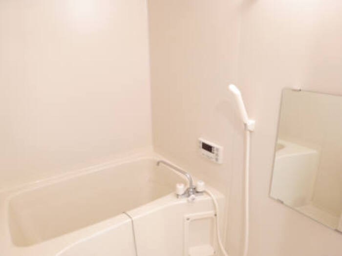 リースランド野高谷D 風呂画像