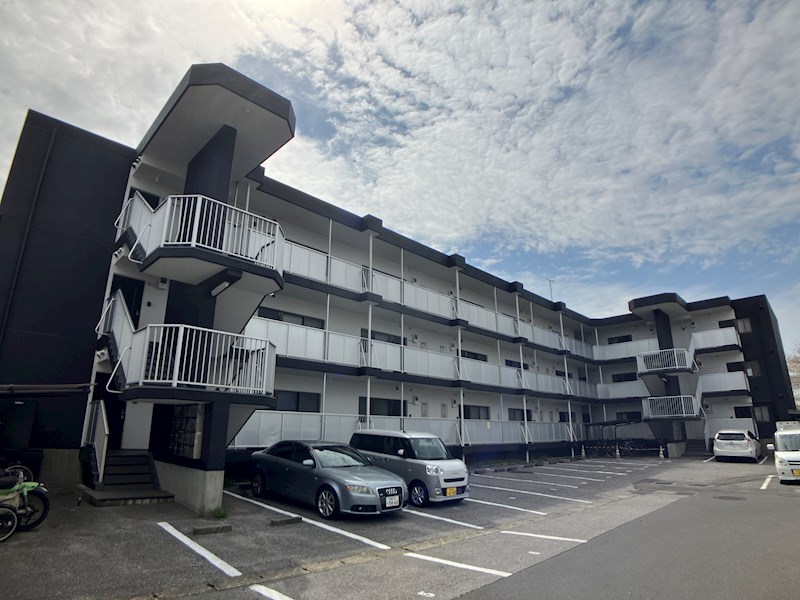 Doglover&amp;#39;s桜館 その他4