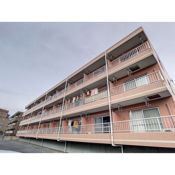 イルメーゼ その他11