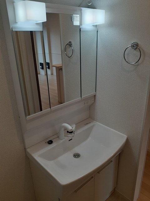 フラワールピナス その他1