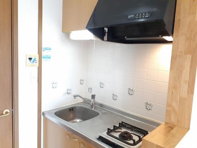 ルミエールⅤ キッチン