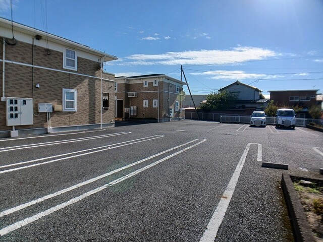 ミルトＢ　（ｍｉｌｄ） その他6