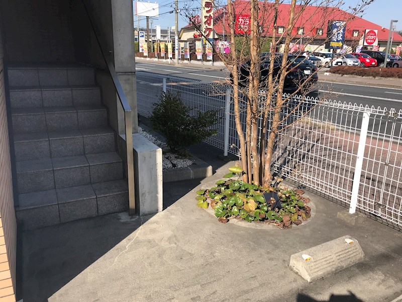 ｅｃｏ，ｈｏｕｓｅ向日葵 その他外観5