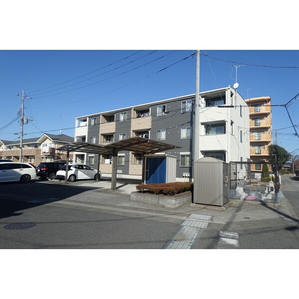 S.トリフォリア その他1