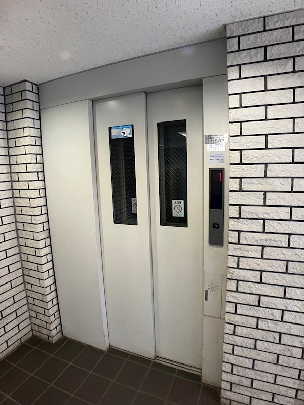 ROYAL RAISIN その他6