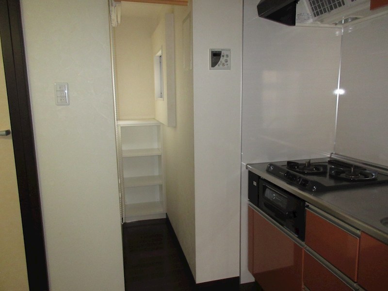 ビュー雷神Ⅲ その他10