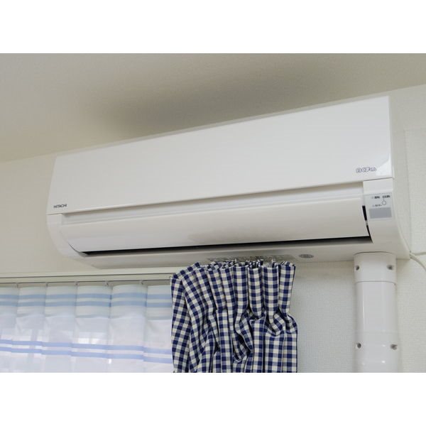 Y&amp;amp;M　L&amp;#39;pur (ルピア)  その他2