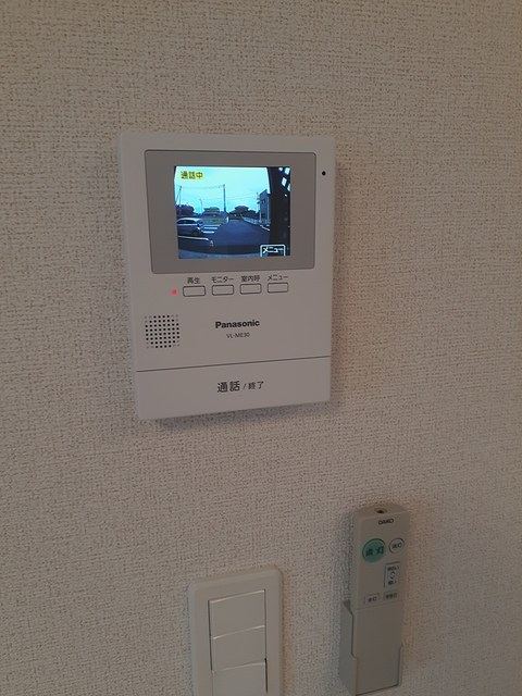 フラワールピナス その他3