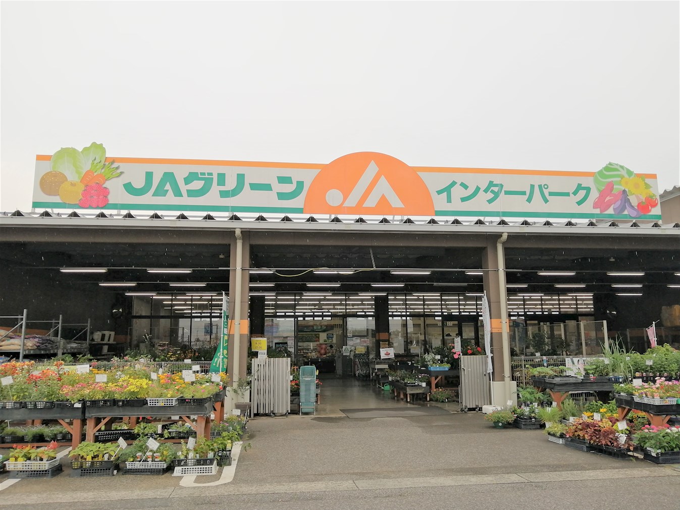 フォレスト宇都宮 周辺画像3