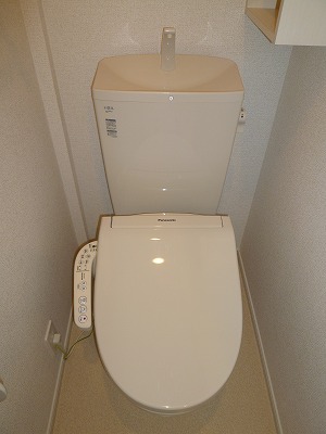 ＳＴＡＲ　ＬＩＧＨＴ　１ その他2