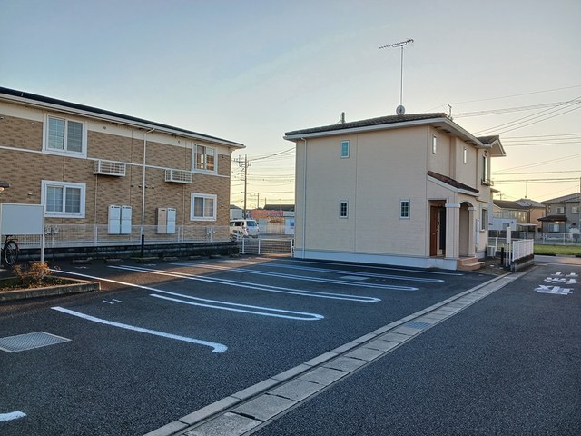 ミルトＣ　（ｍｉｌｄ） その他6