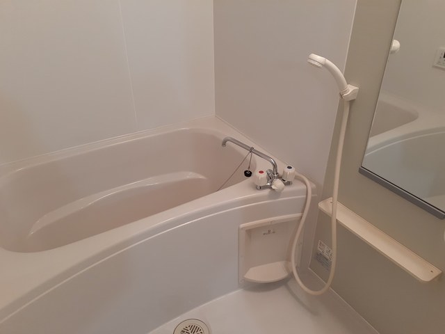 プラシード城東 風呂画像