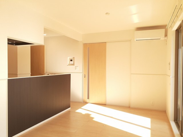 シャロー・スワンプ その他1