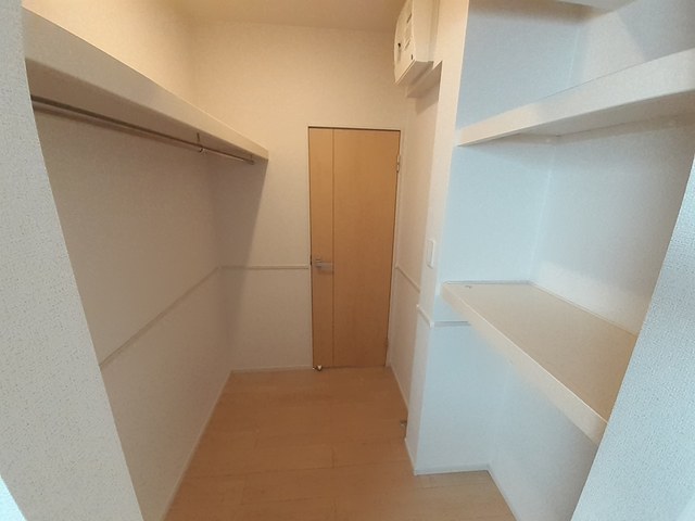 シャロー・スワンプ その他2