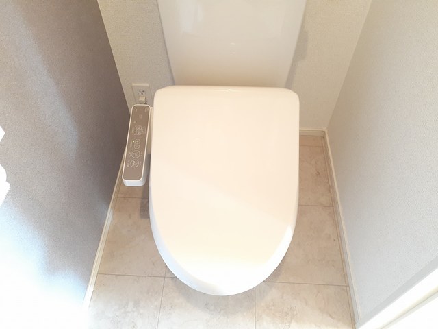 シャロー・スワンプ その他3