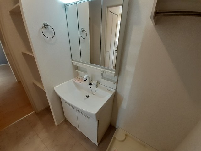 シャロー・スワンプ その他4