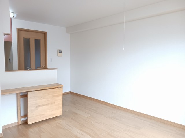 ファインロイテⅡ その他1