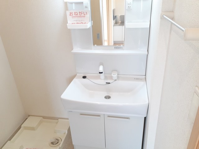 ビッグ・ツリー その他4