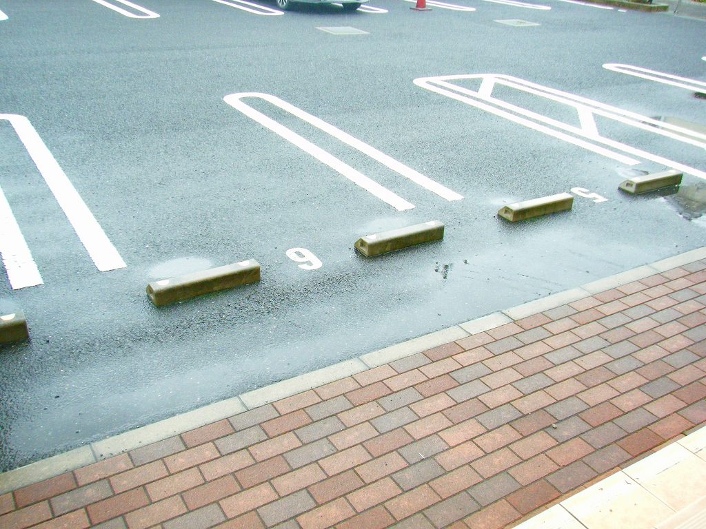 ルナフローラ・ウェスト その他6