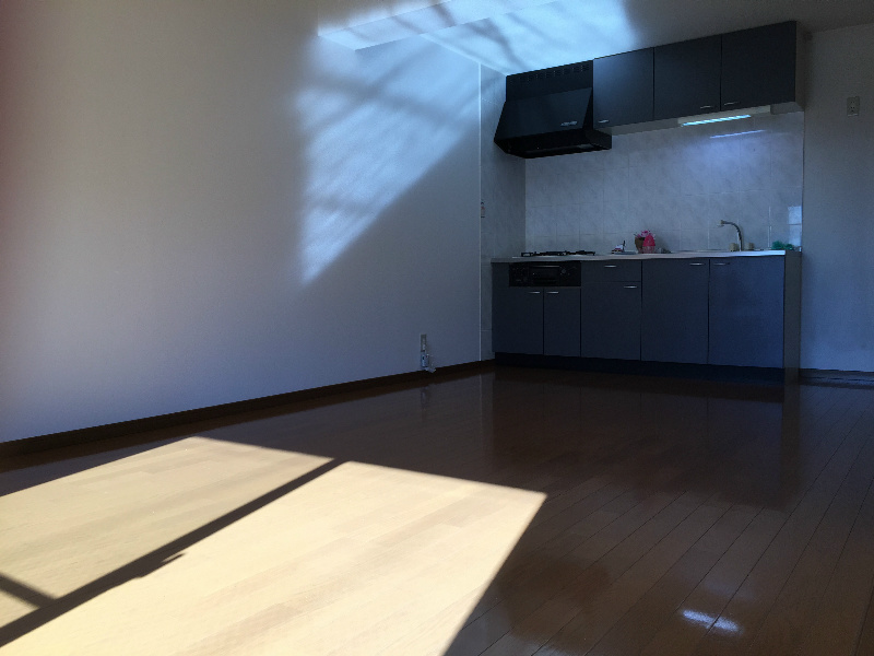 キング・ペレ その他5