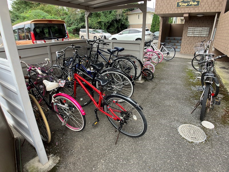 キング・ペレ その他8