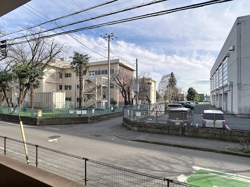 キング・ペレ その他8