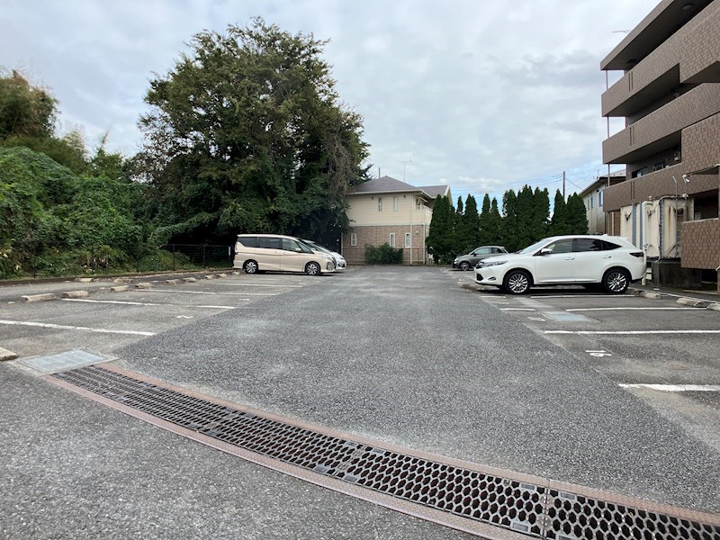 キング・ペレ その他9