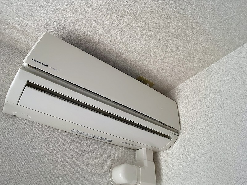 キング・ペレ その他11