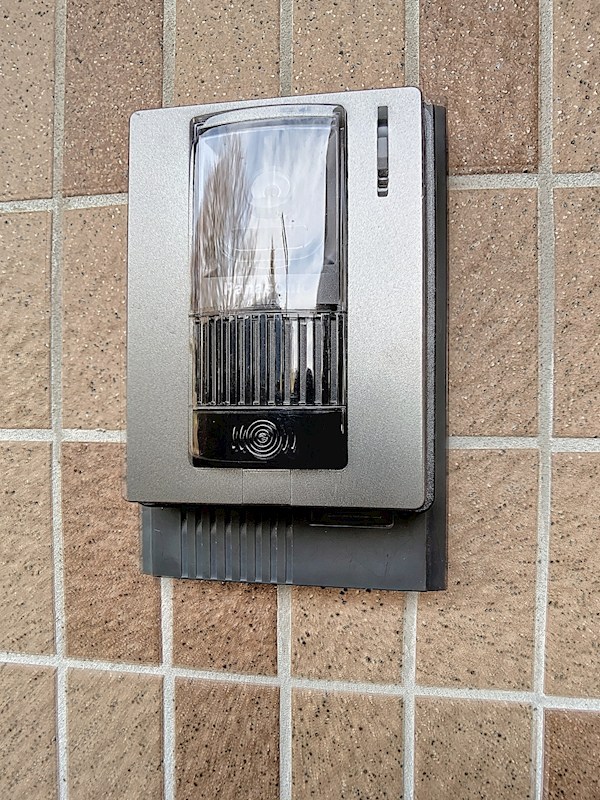 キング・ペレ その他18