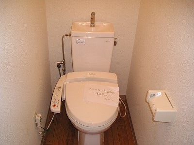 ダイヤモンドフィールド  その他1