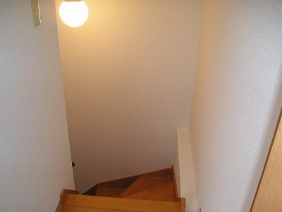 ダイヤモンドフィールド  その他5