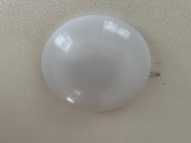 ライラック その他11