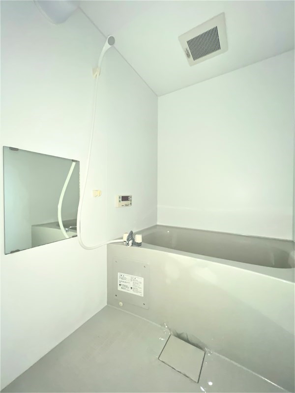 ＣＡＳＡ　ＤＯＭＡＮＩ 風呂画像