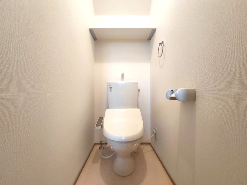 ルピナス（Lupinus）B その他2