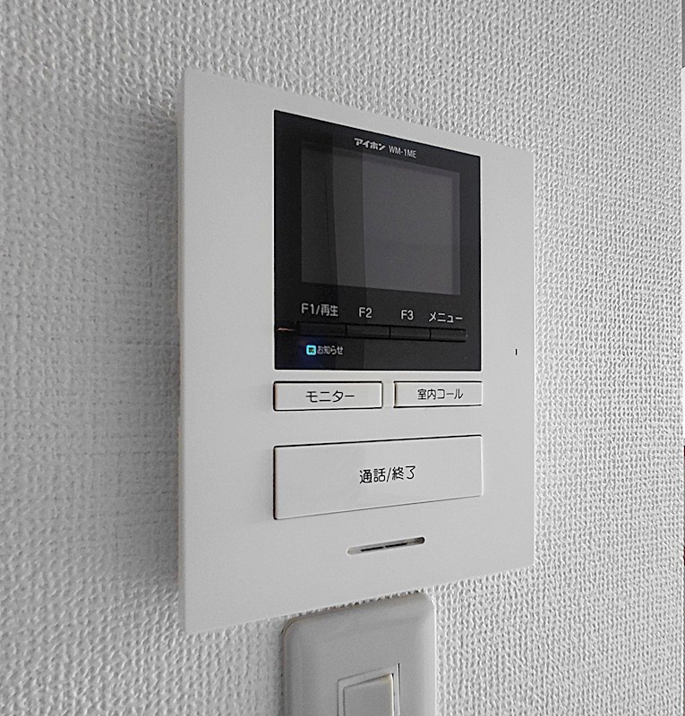 ルピナス（Lupinus）B その他4