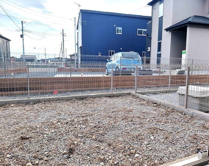 ルピナス（Lupinus）B その他7