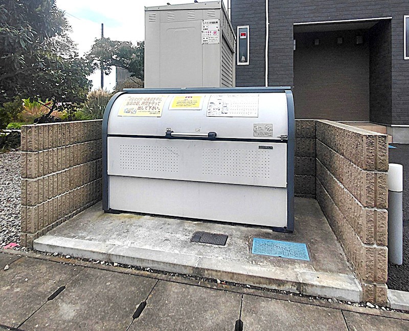 ルピナス（Lupinus）B その他10