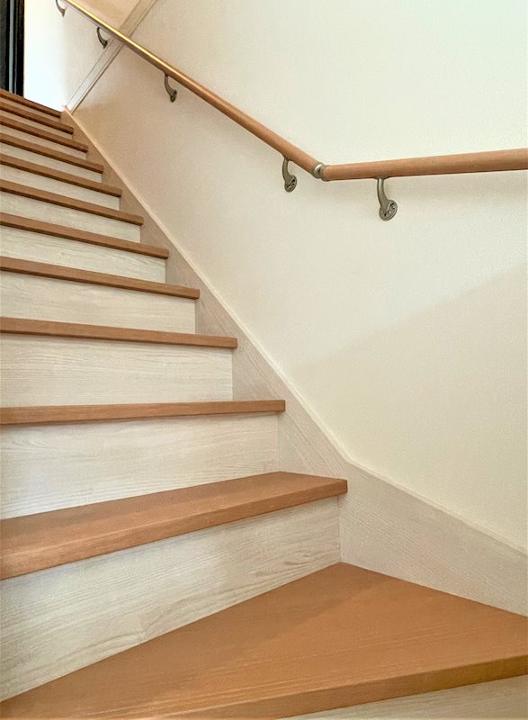 ルピナス（Lupinus）B その他11