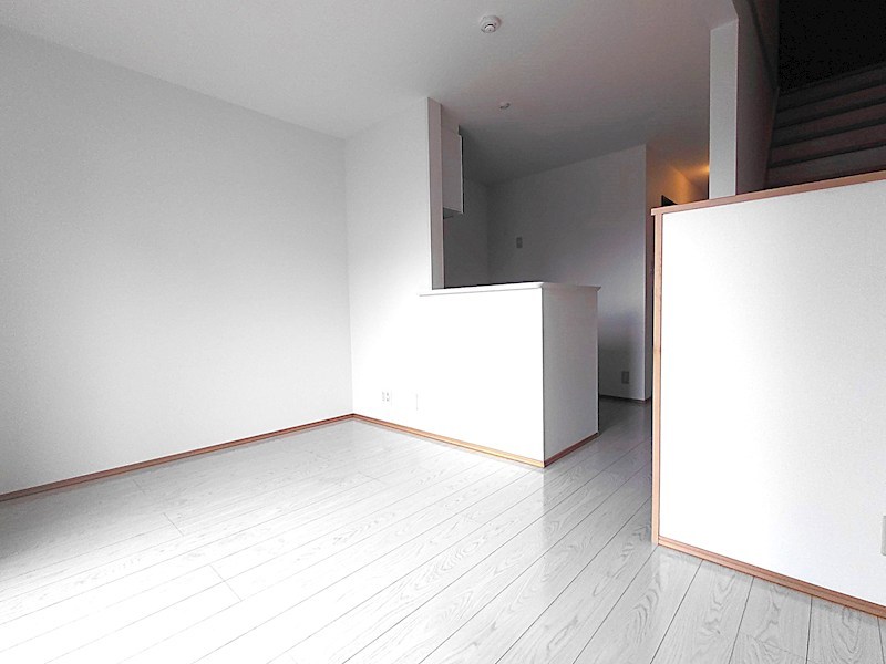 ルピナス（Lupinus）B その他12