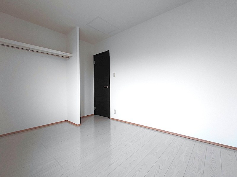 ルピナス（Lupinus）B その他13